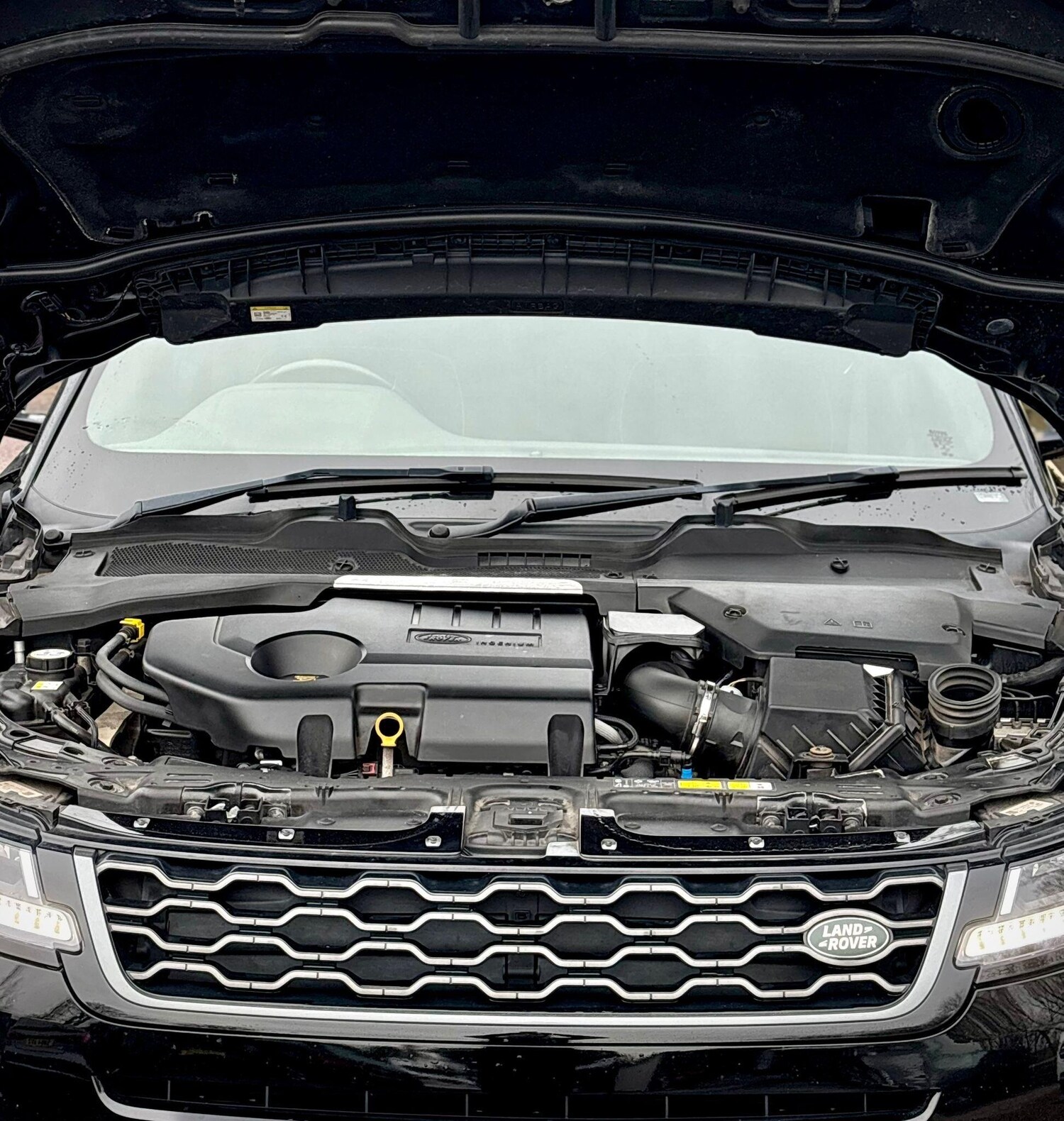 Used Land Rover Range Rover Evoque 2020 for sale - 77965376: Photo 37