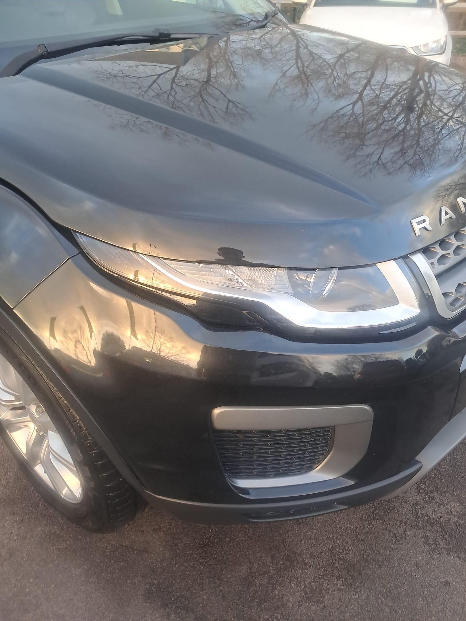 Used Land Rover Range Rover Evoque 2016 for sale - 76912816: Photo 41