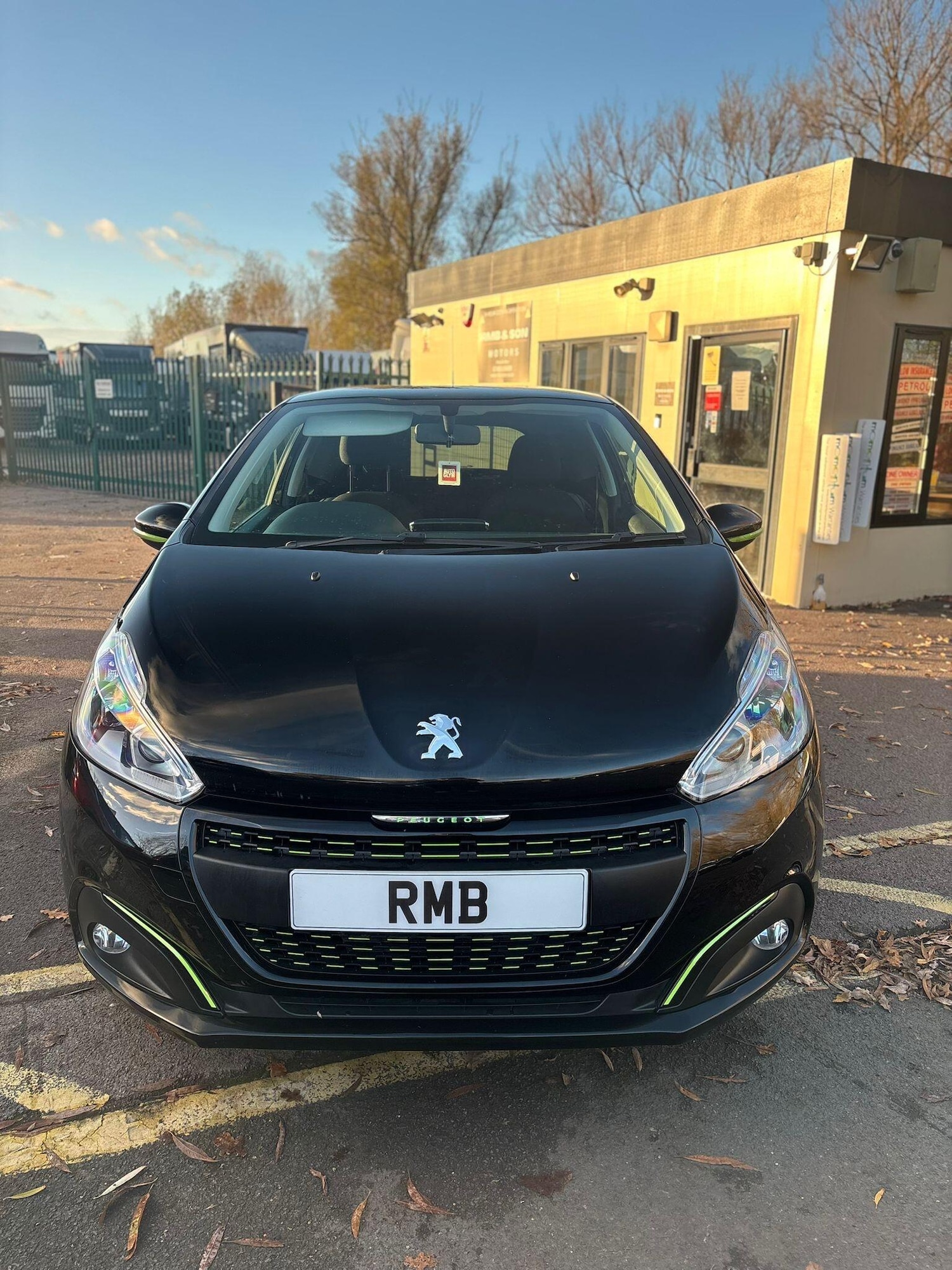 Used Peugeot 208 2016 for sale - 76690023: Photo 1