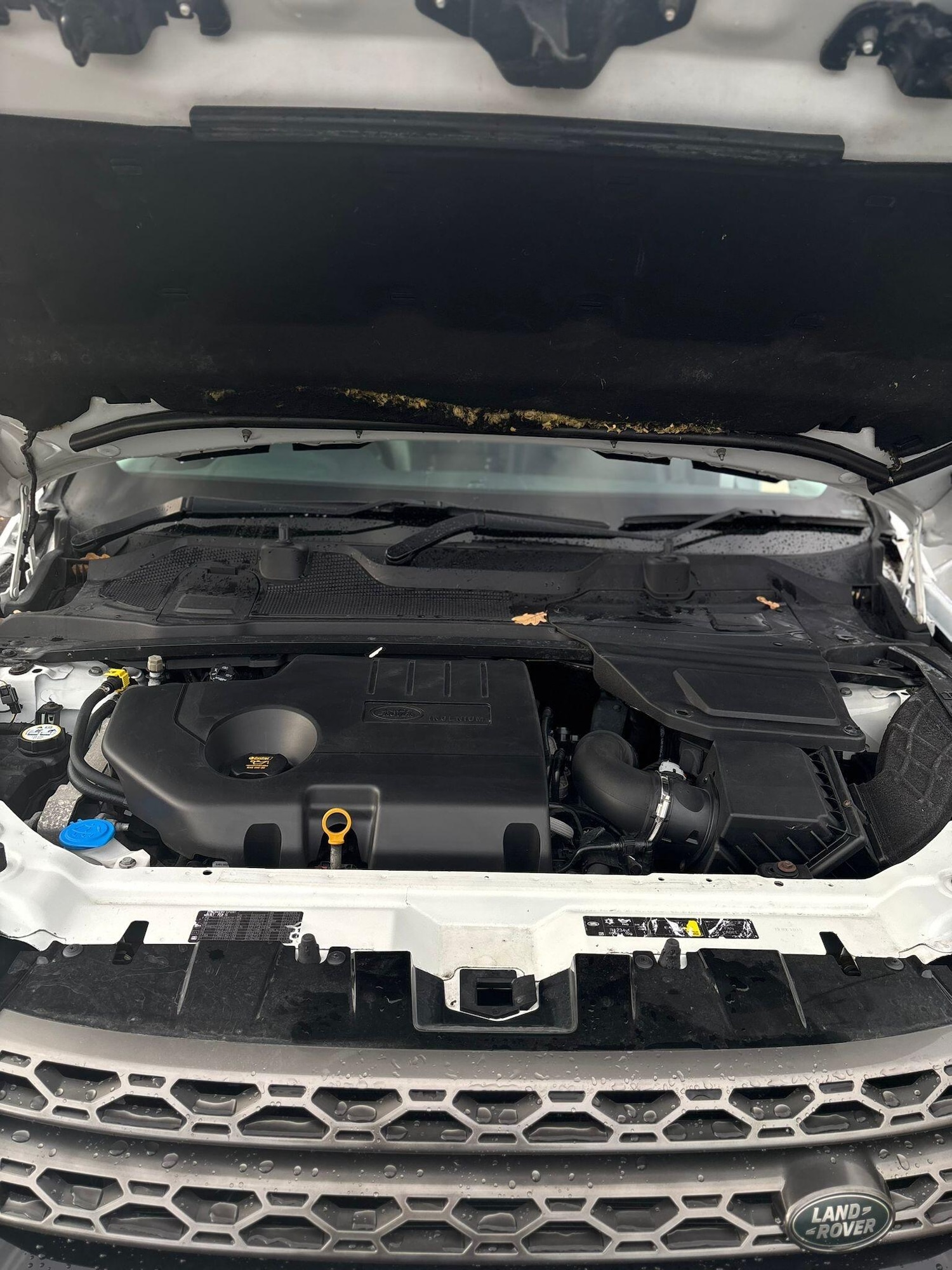 Used Land Rover Discovery Sport 2016 for sale - 76990143: Photo 21