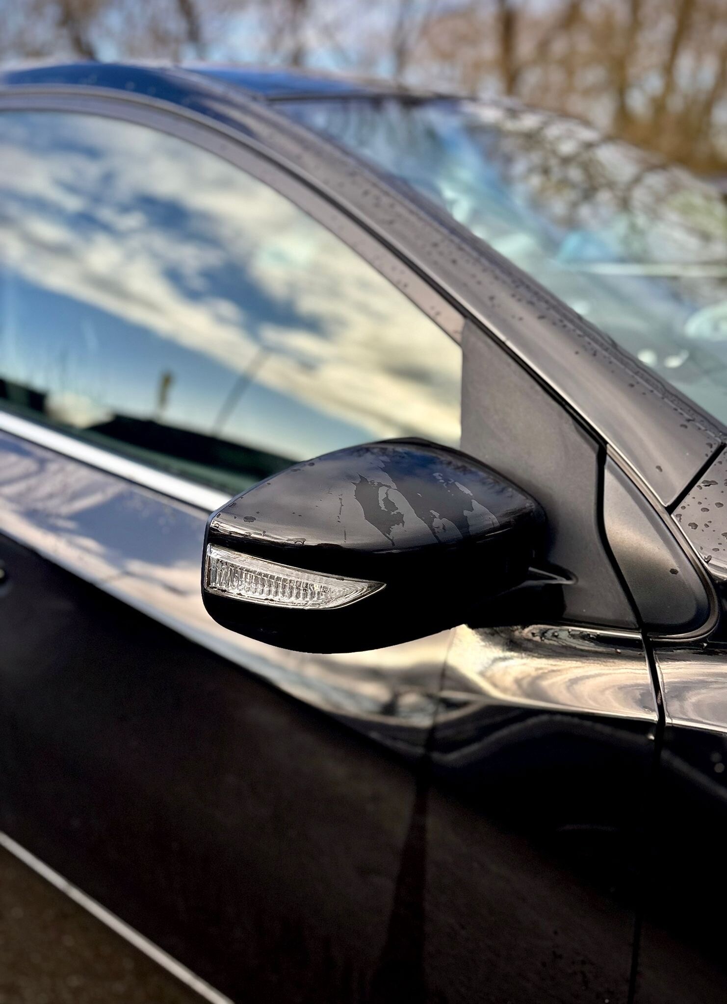 Used Nissan Pulsar 2017 for sale - 77628750: Photo 15