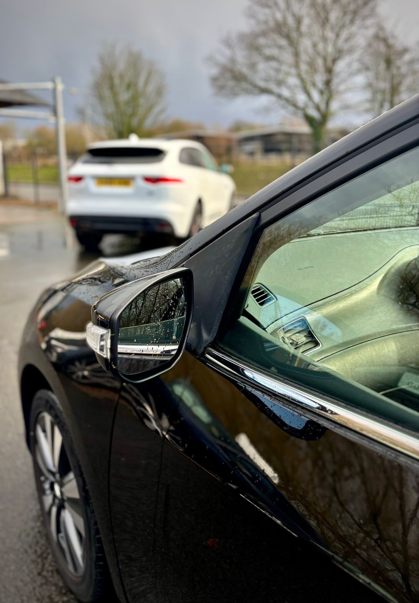 Used Nissan Pulsar 2017 for sale - 77628750: Photo 7