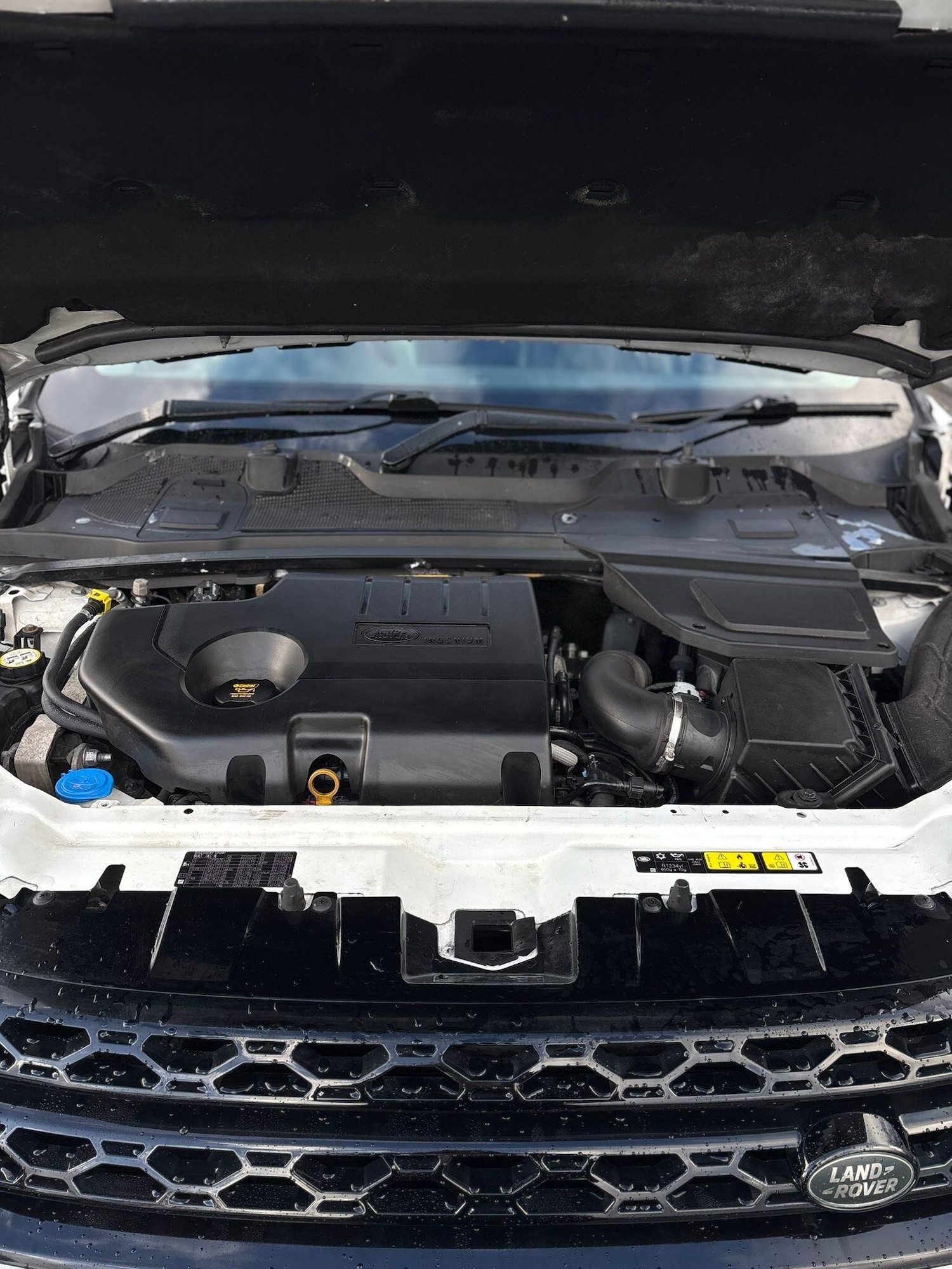 Used Land Rover Discovery Sport 2017 for sale - 77291061: Photo 32