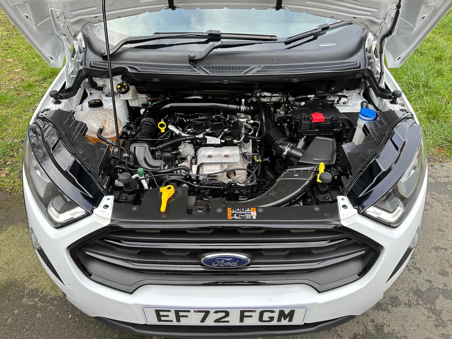 Used Ford Ecosport 2023 for sale - 77721581: Photo 8