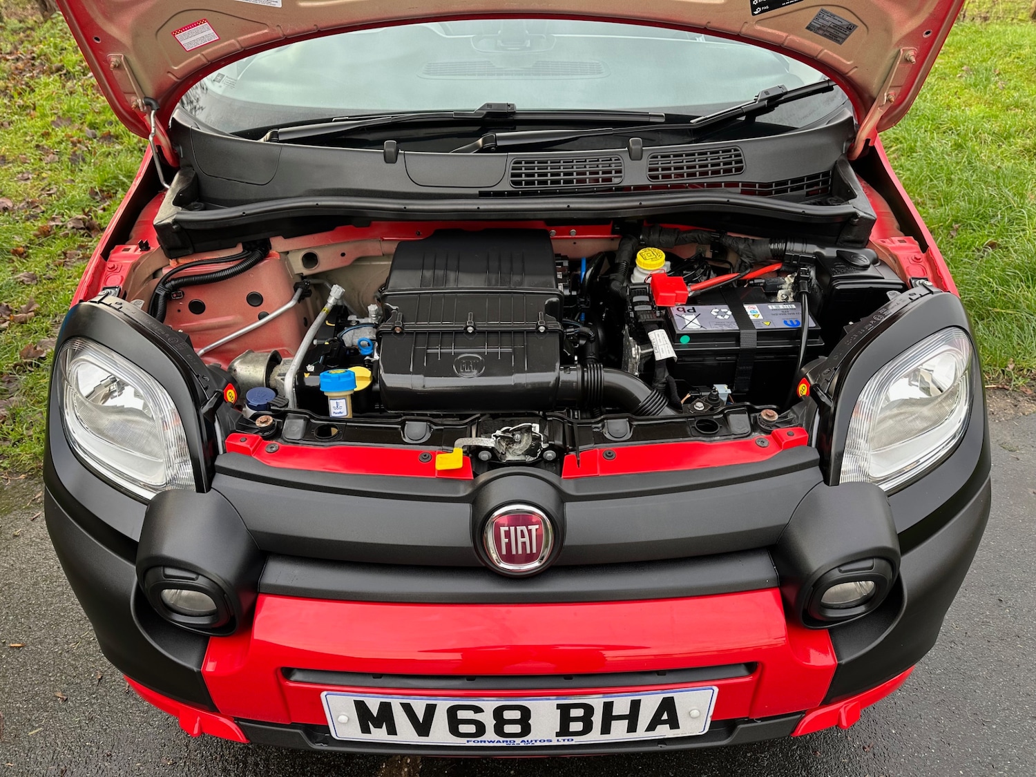 Used Fiat Panda 2019 for sale - 77001276: Photo 8
