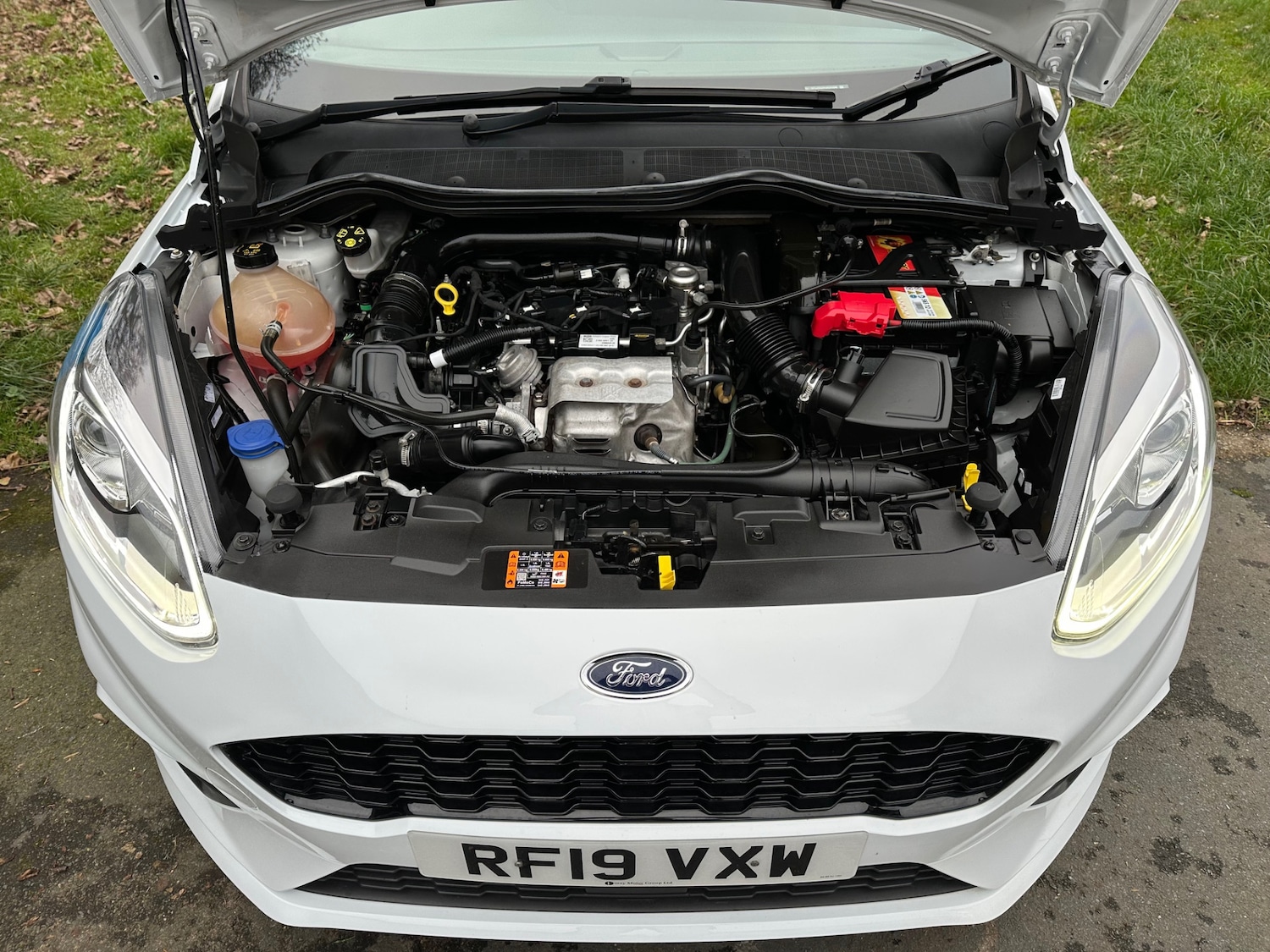 Used Ford Fiesta 2019 for sale - 77059896: Photo 8