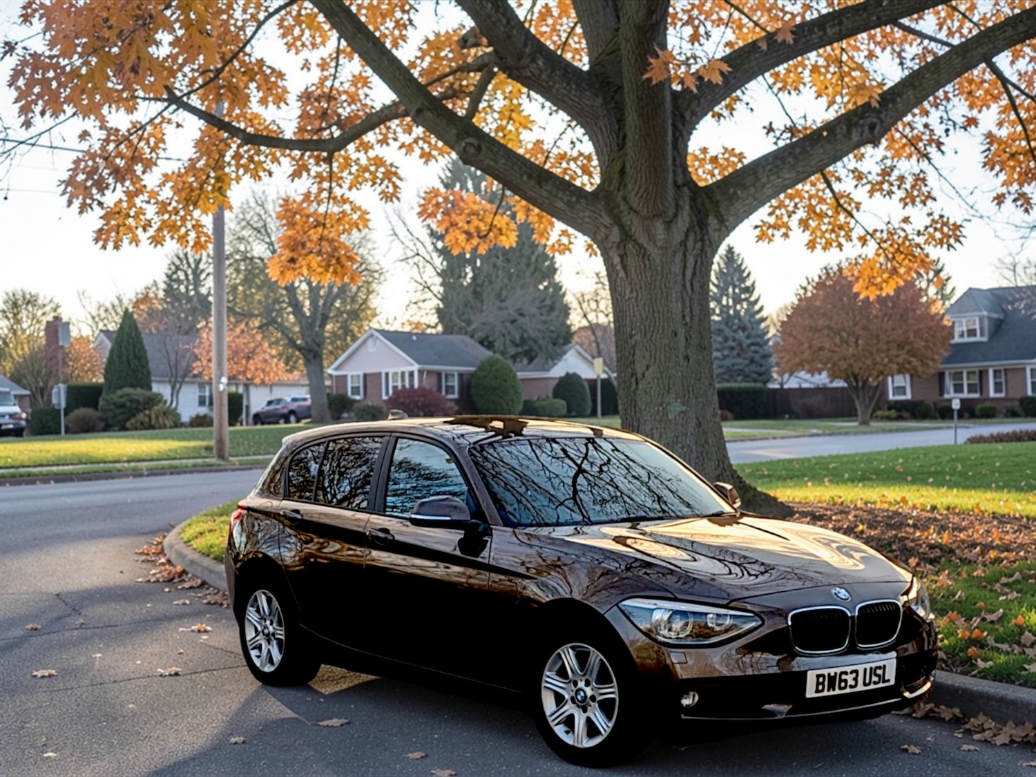Used BMW 1 Series 2013 for sale - 77881176: Photo 11