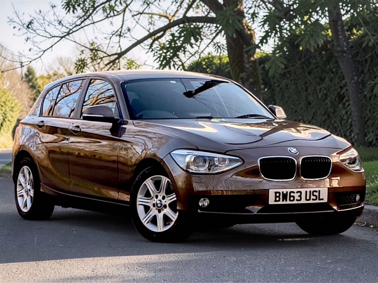 Used BMW 1 Series 2013 for sale - 77881176: Photo 16