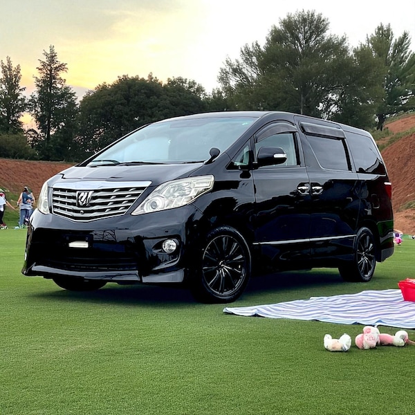 Used Toyota Alphard for sale - 76093896: Photo 20
