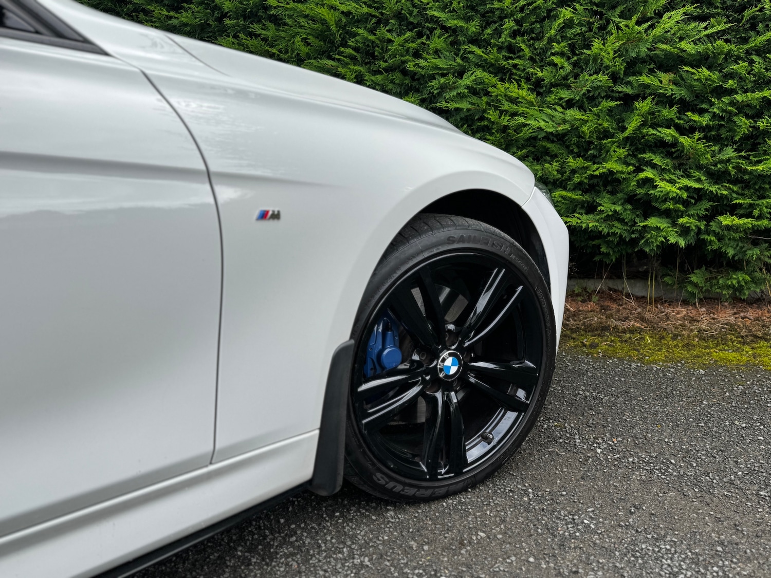 Used BMW 3 Series 2019 for sale - 77095752: Photo 9