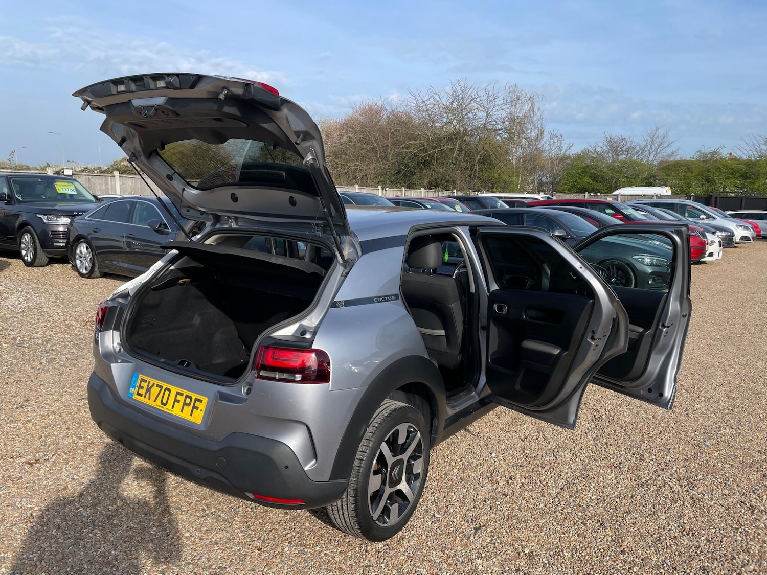 Used Citroen C4 Cactus 2020 for sale - 77970396: Photo 41