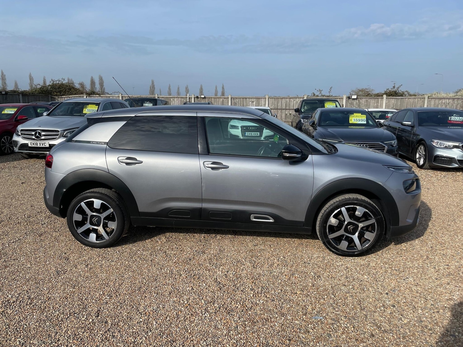 Used Citroen C4 Cactus 2020 for sale - 77970396: Photo 8