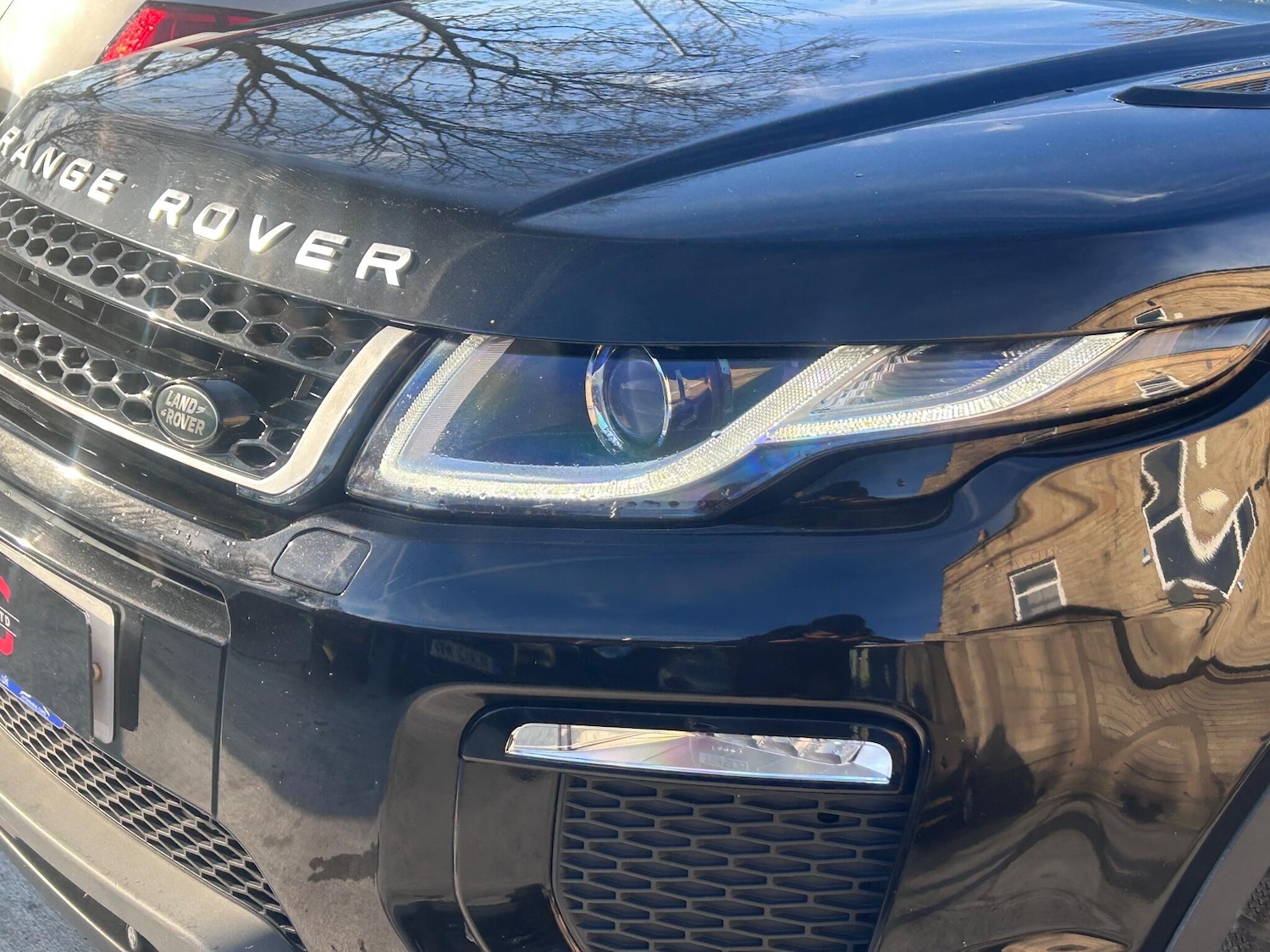 Used Land Rover Range Rover Evoque for sale - 76824973: Photo 57