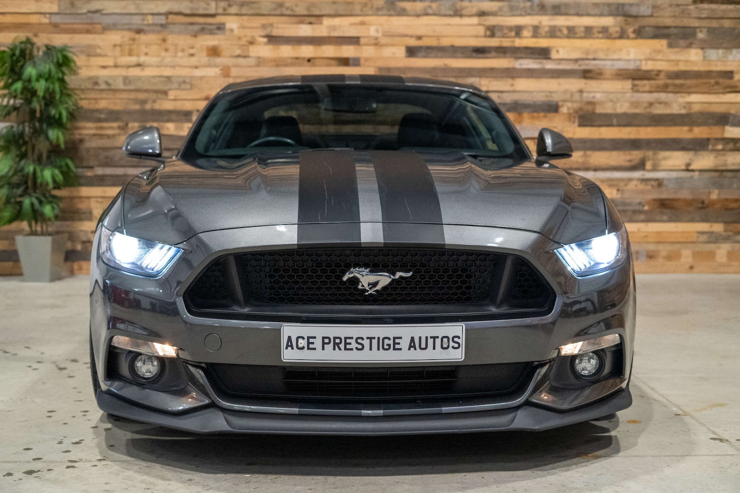 Used Ford Mustang 2017 for sale - 76567728: Photo 4