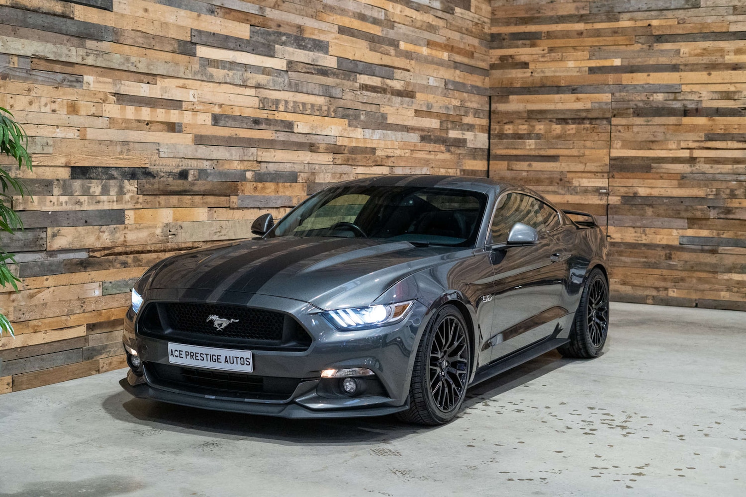 Used Ford Mustang 2017 for sale - 76567728: Photo 5
