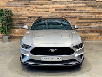 Used Ford Mustang 2019 for sale - 78990489: Photo