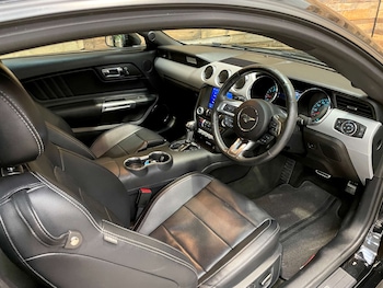 Used Ford Mustang 2016 for sale - 79372382: Photo