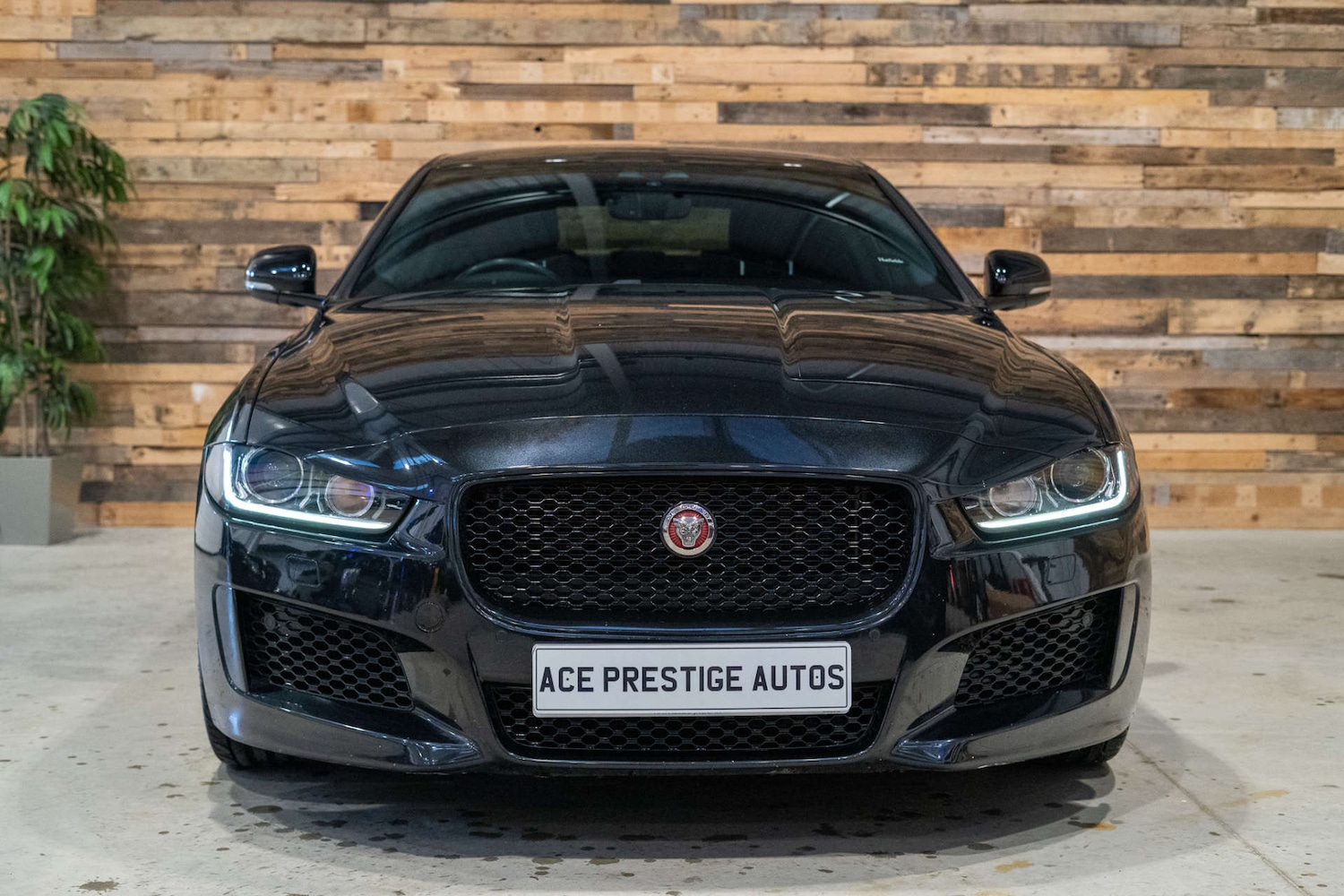 Used Jaguar XE 2019 for sale - 77022401: Photo 4