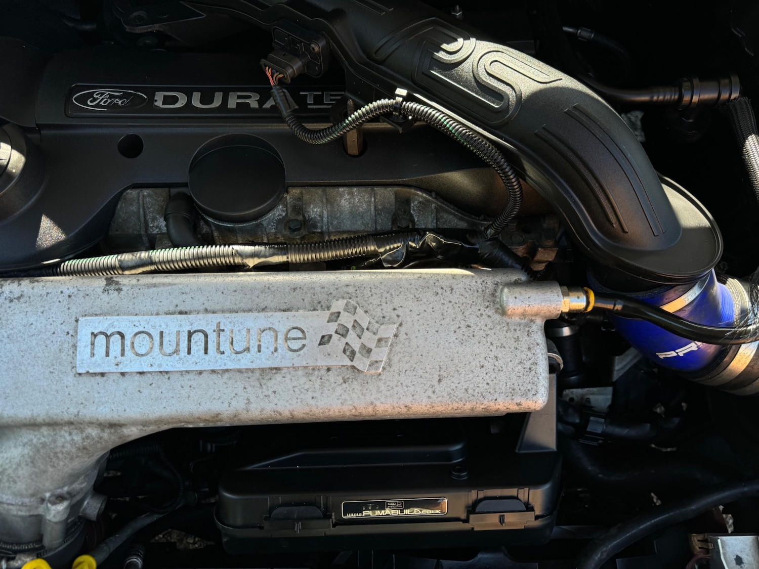 Used Ford Focus 2009 for sale - 77941327: Photo 3