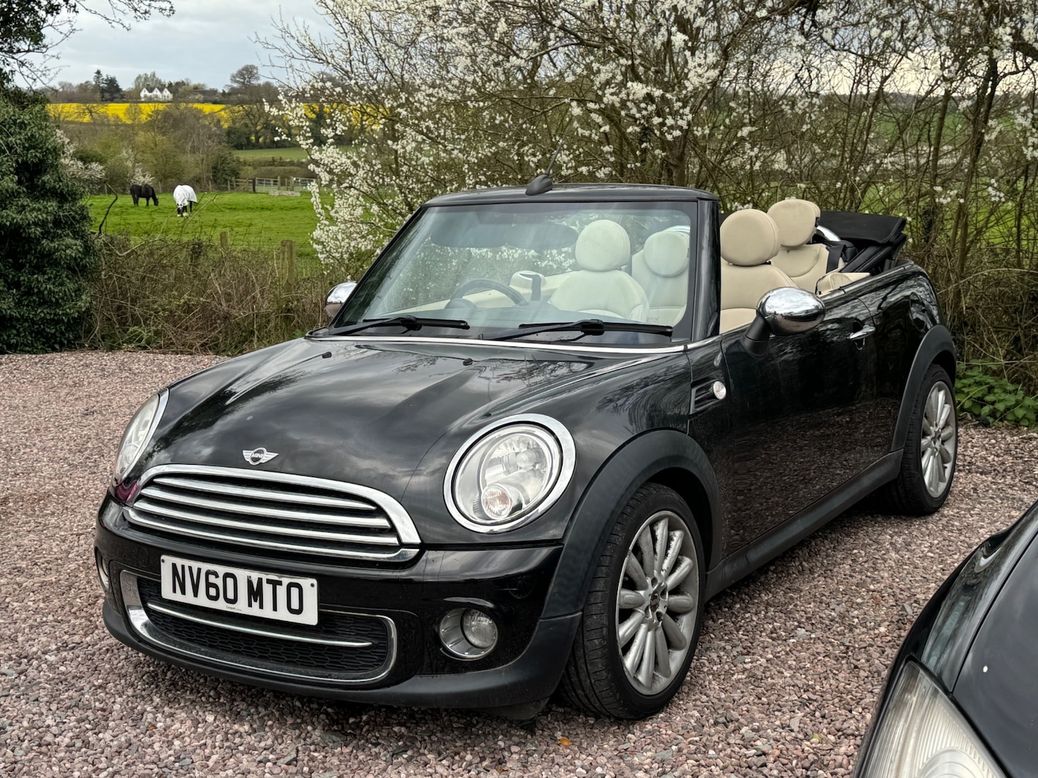 Used MINI Convertible 2010 for sale - 78134805: Photo 2