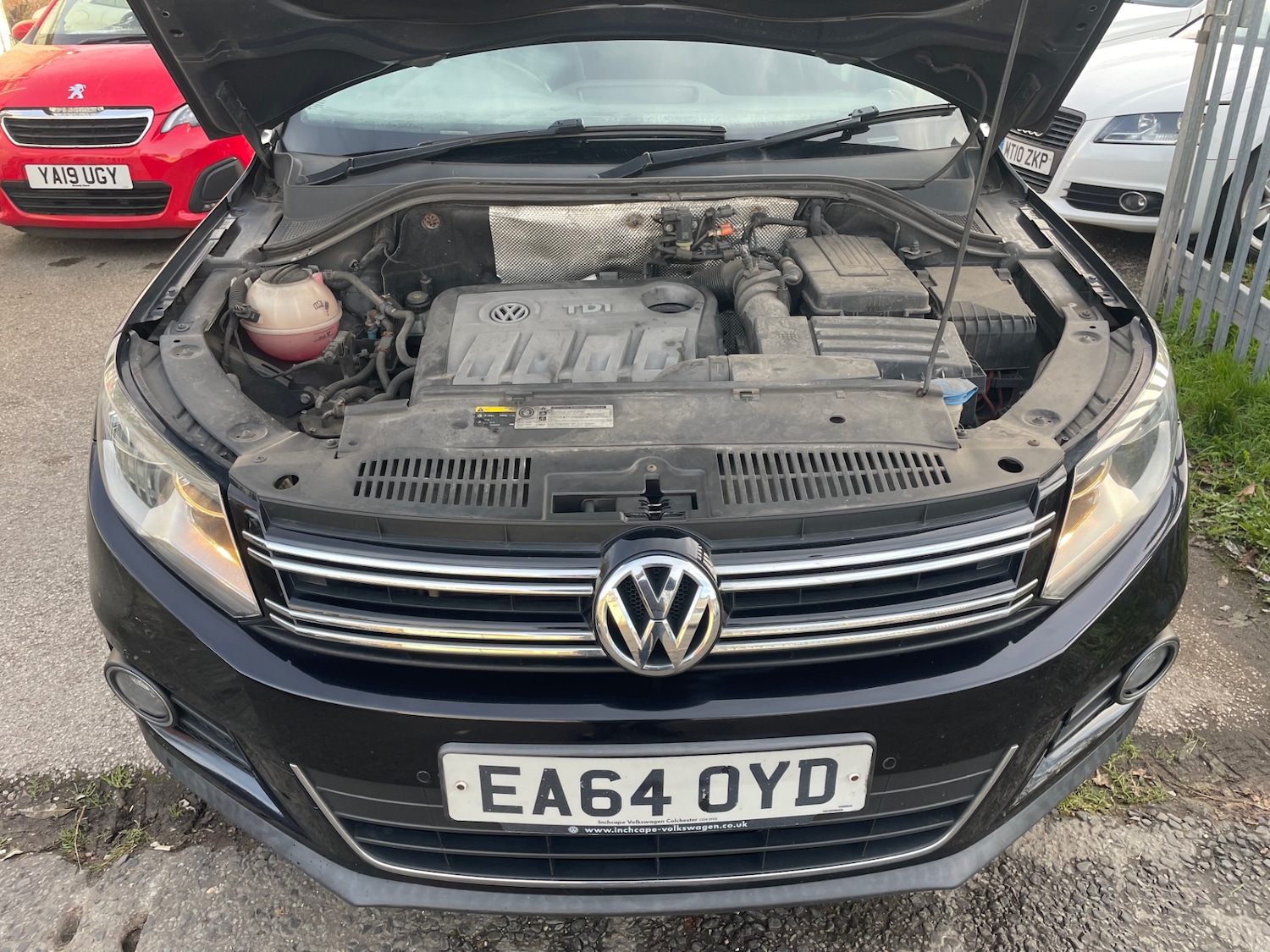 Used Volkswagen Tiguan 2014 for sale - 76669190: Photo 12