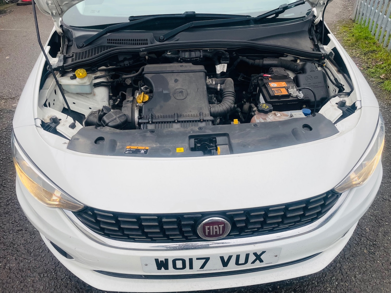 Used Fiat Tipo 2017 for sale - 77286200: Photo 10