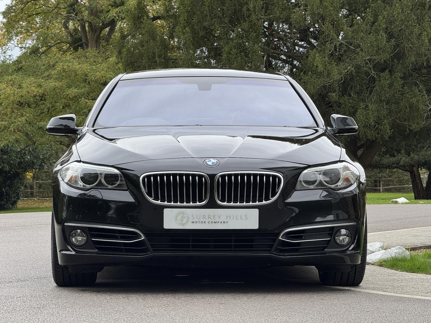 Used BMW 5 Series 2014 for sale - 77450017: Photo 2