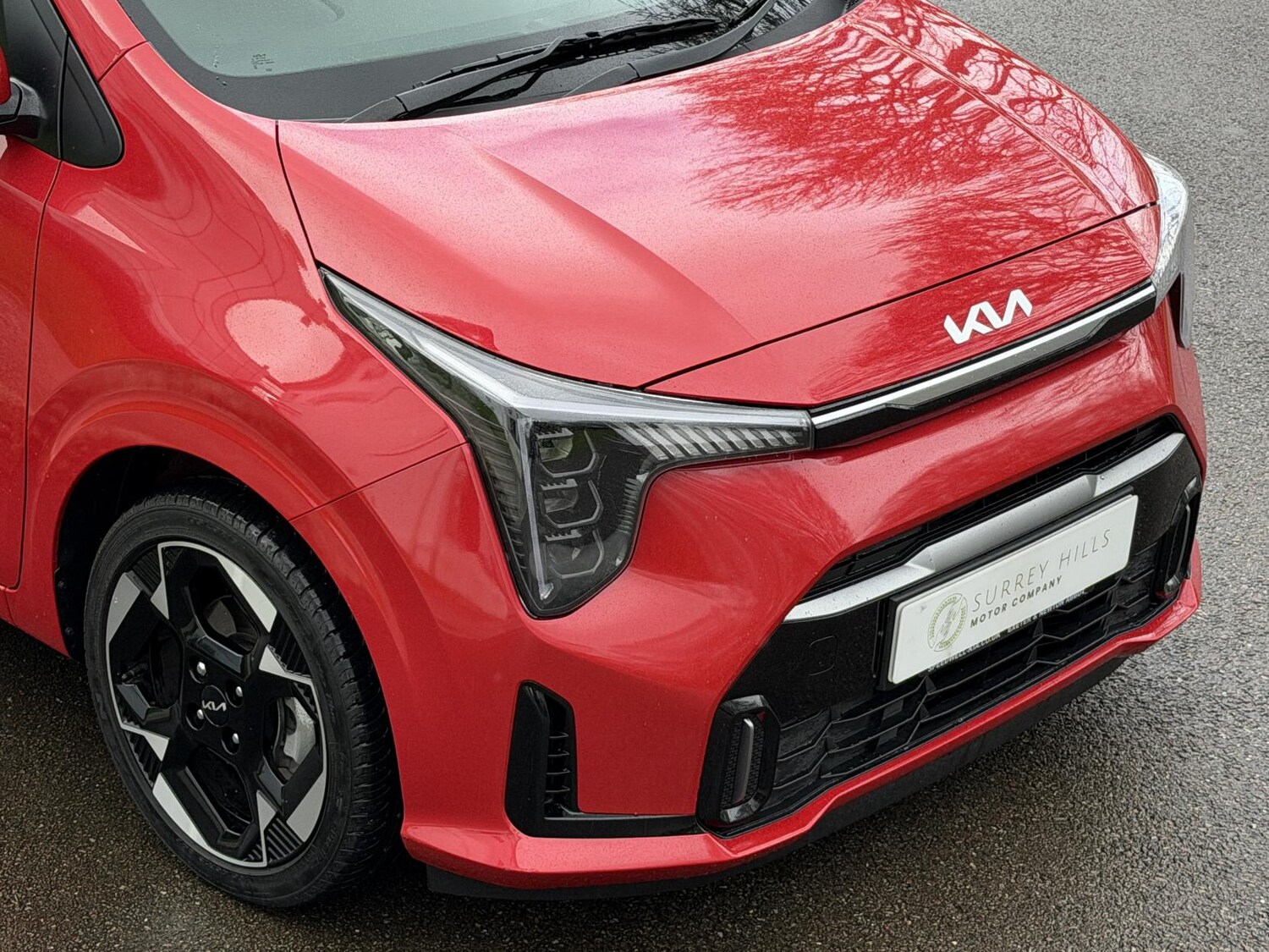 Used Kia Picanto 2024 for sale - 77504526: Photo 24