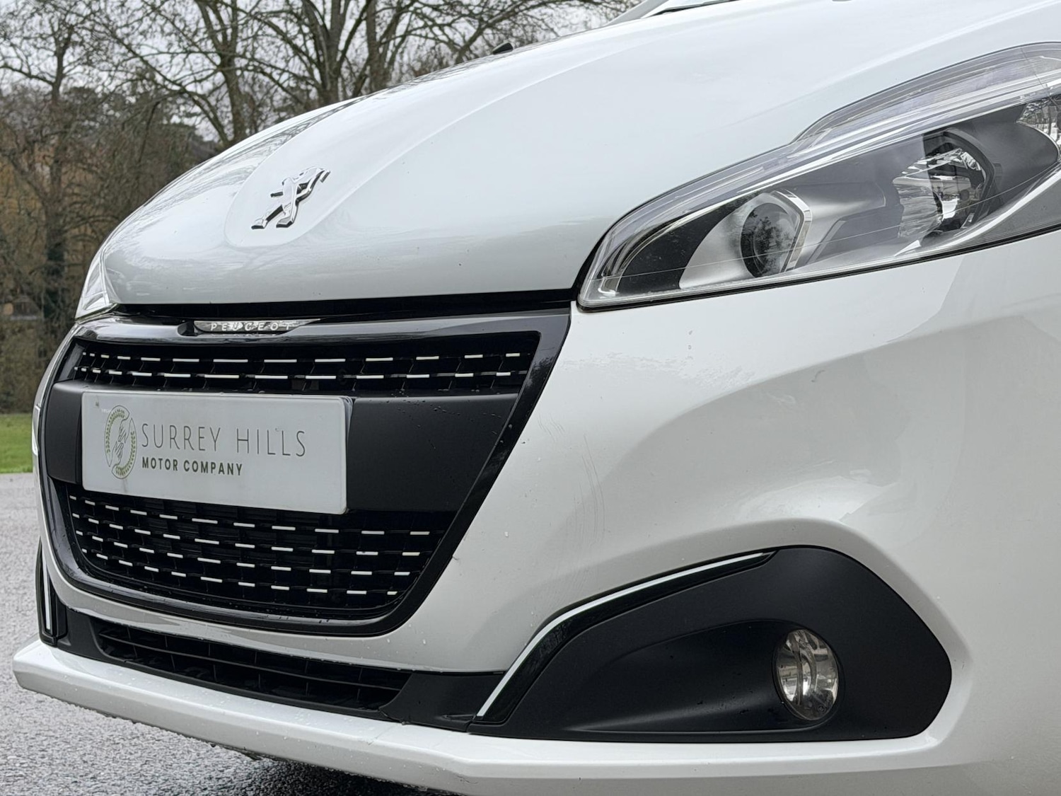 Used Peugeot 208 2017 for sale - 77020001: Photo 27