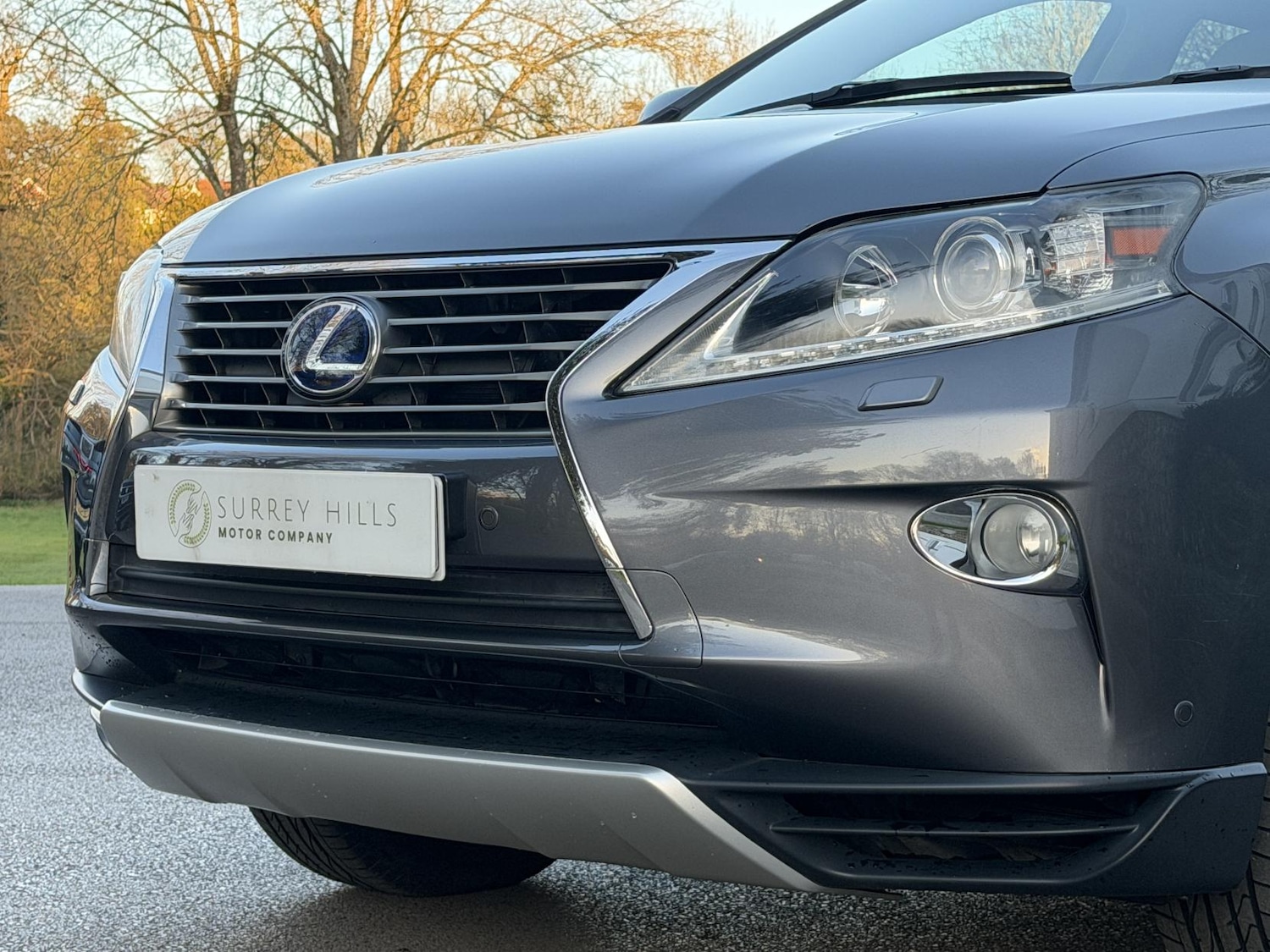 Used Lexus RX 2013 for sale - 77897938: Photo 31