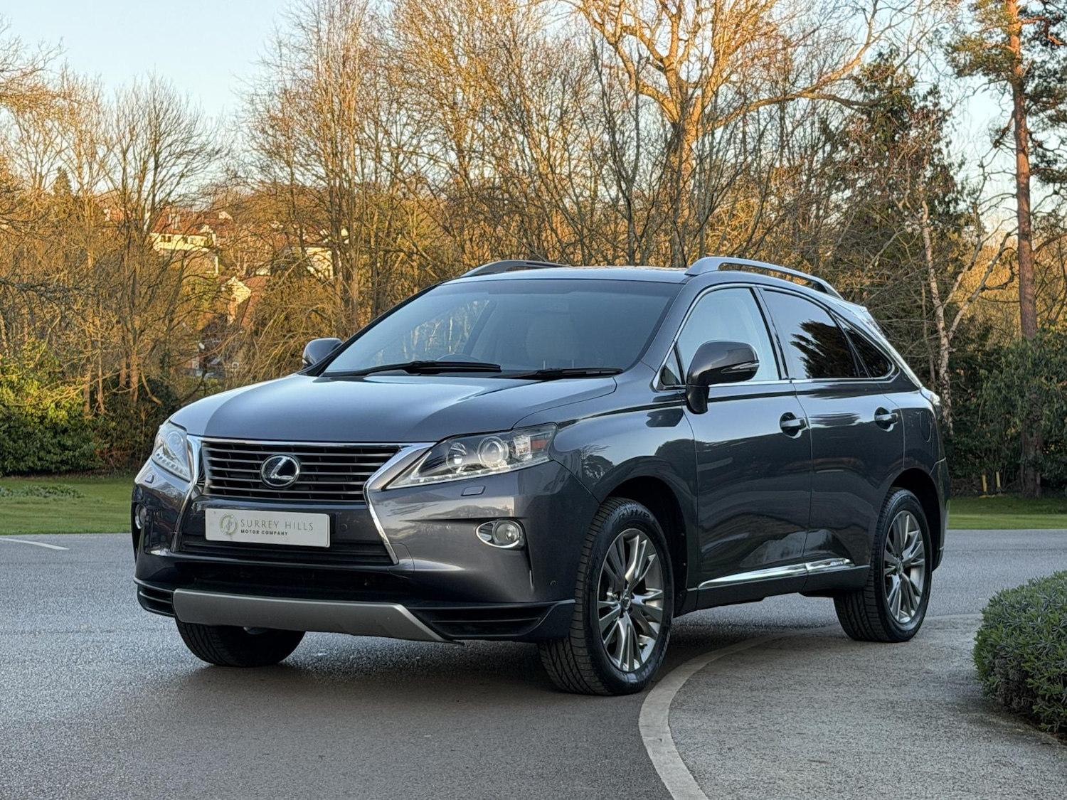 Used Lexus RX 2013 for sale - 77897938: Photo 34