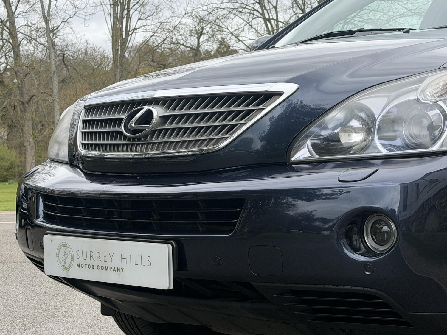 Used Lexus RX 2009 for sale - 78062553: Photo 29