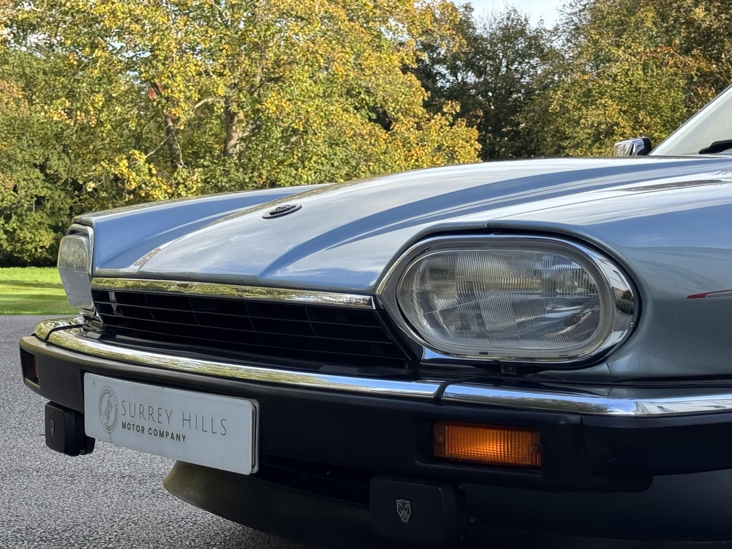 Used Jaguar XJS 1993 for sale - 76348685: Photo 30