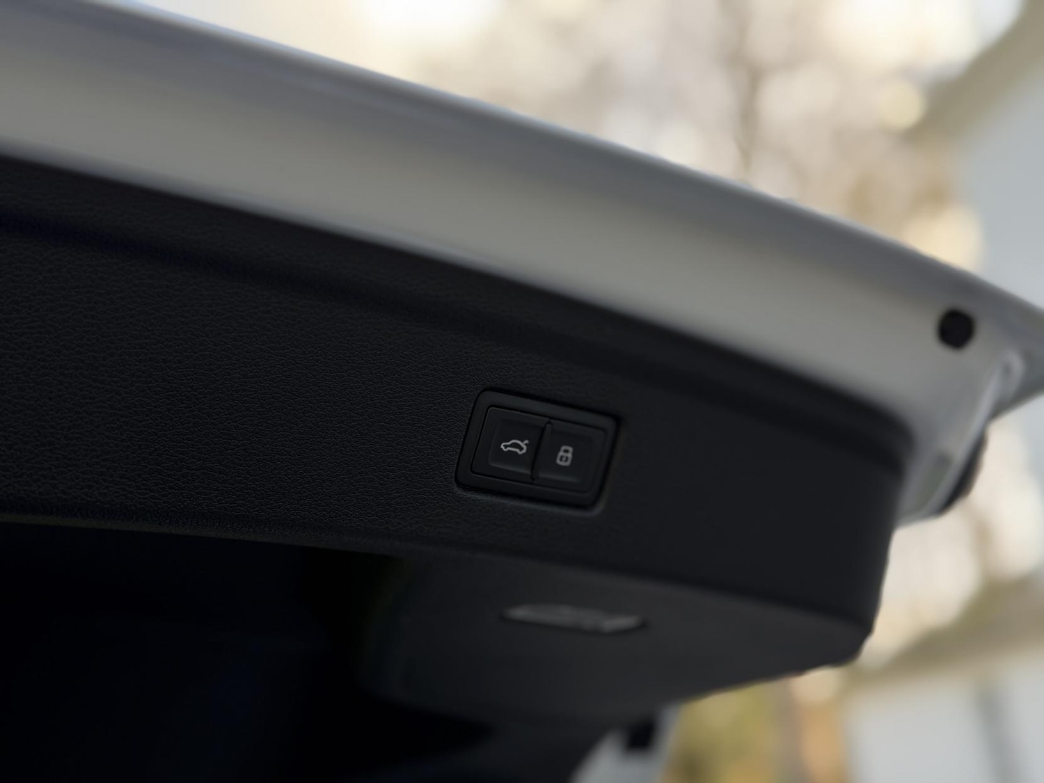 Used Audi RS5 2021 for sale - 77897240: Photo 77