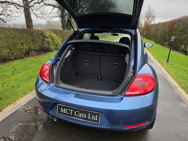 Used Volkswagen Beetle 2015 for sale - 77538911: Photo 11