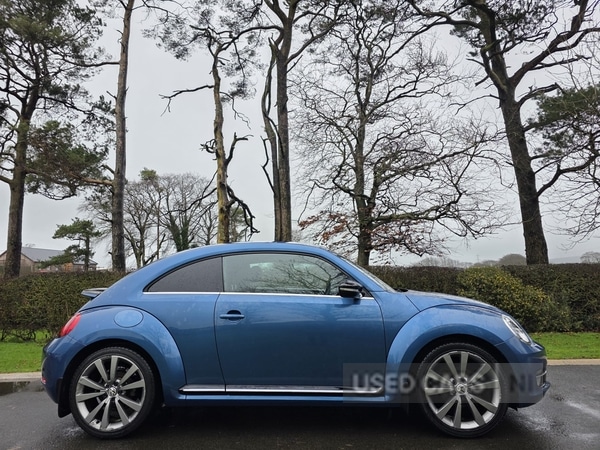 Used Volkswagen Beetle 2015 for sale - 77538911: Photo 6