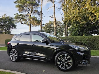 Used Ford Kuga 2023 for sale - 79591193: Photo