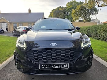 Used Ford Kuga 2023 for sale - 79591193: Photo