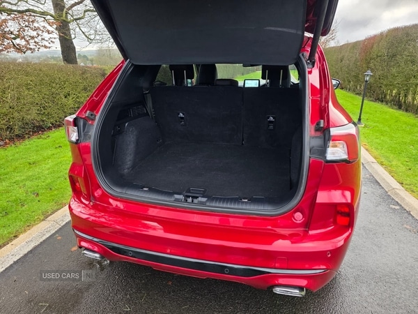 Used Ford Kuga 2022 for sale - 77315772: Photo 12