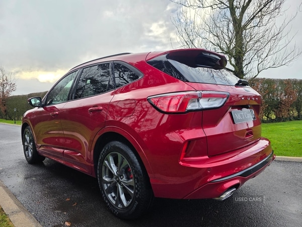 Used Ford Kuga 2022 for sale - 77315772: Photo 2