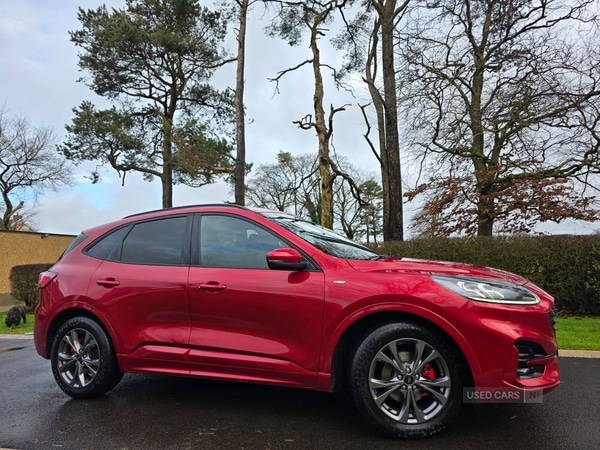 Used Ford Kuga 2022 for sale - 77315772: Photo 3