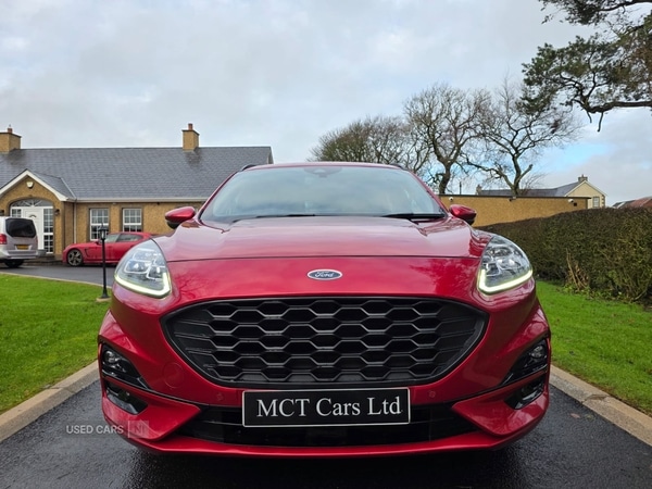 Used Ford Kuga 2022 for sale - 77315772: Photo 4