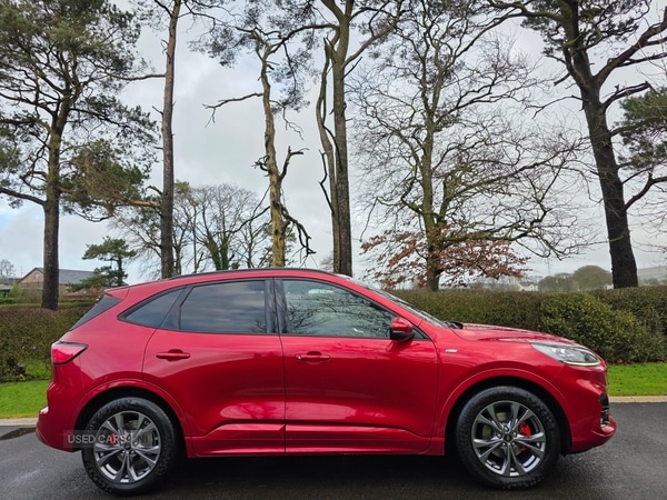 Used Ford Kuga 2022 for sale - 77315772: Photo 6