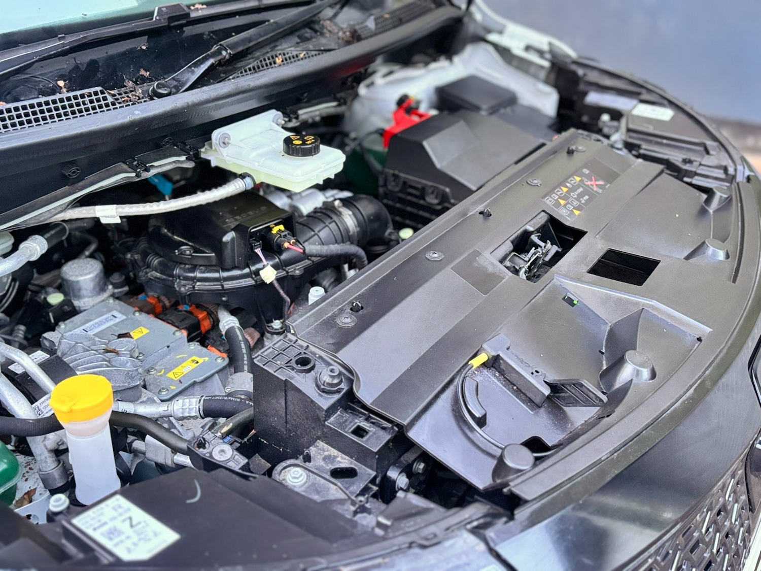 Used Nissan Other 2023 for sale - 77235982: Photo 39