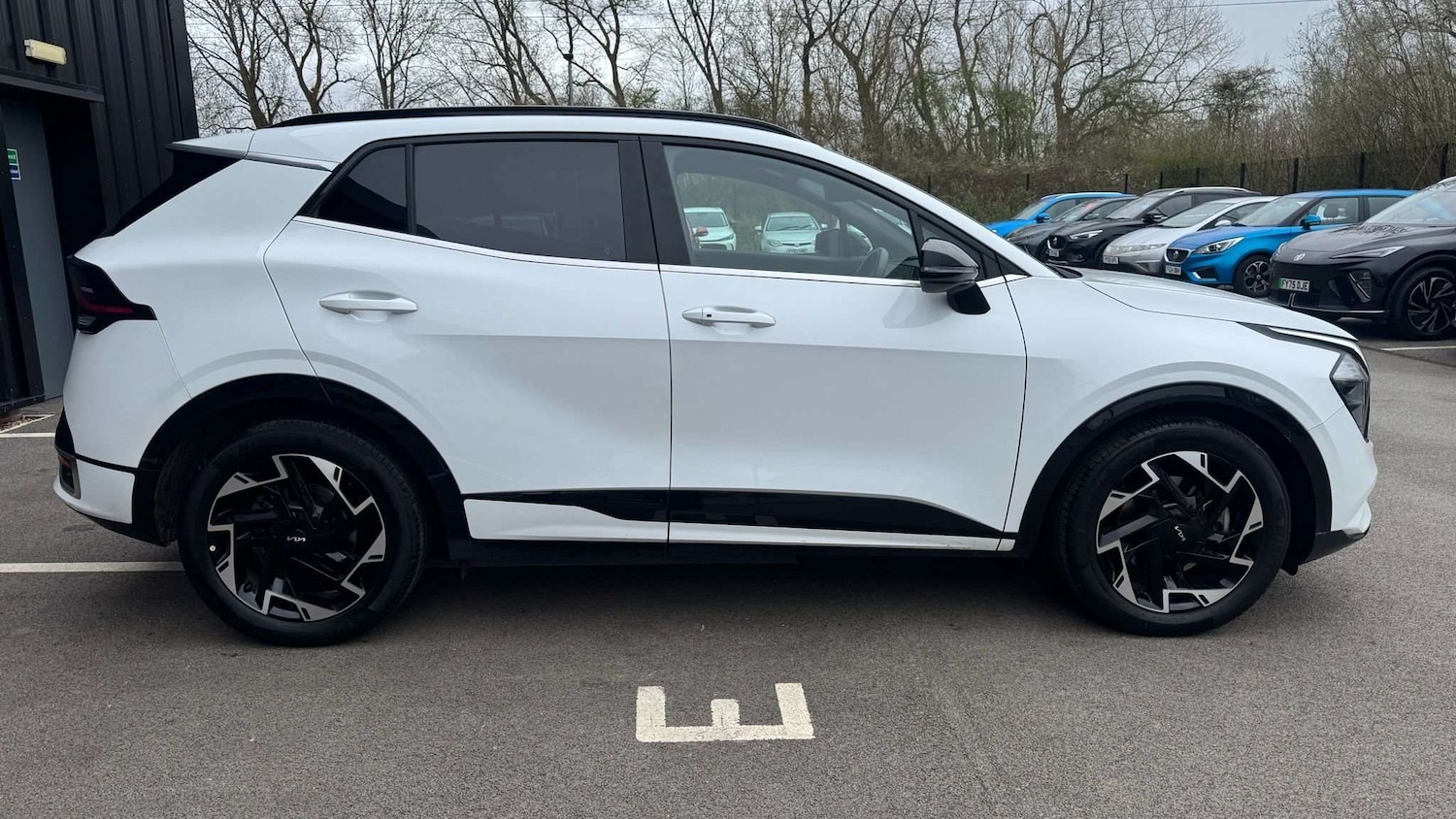 Used Kia Sportage 2024 for sale - 78187789: Photo 5