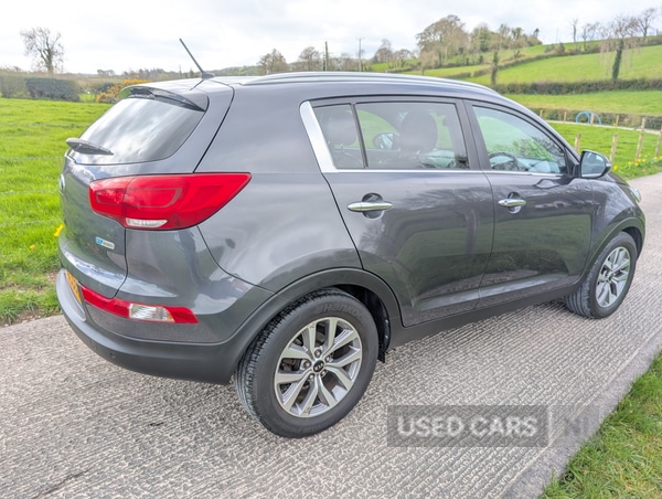Used Kia Sportage 2016 for sale - 78215328: Photo 5