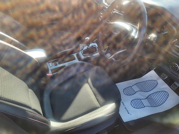 Used Ford Focus 2020 for sale - 79167541: Photo