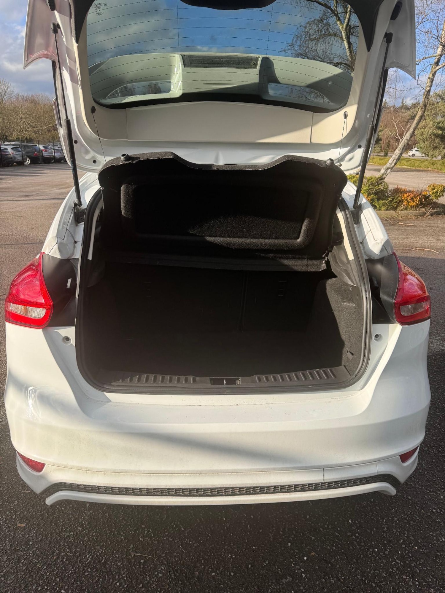 Used Ford Focus 2015 for sale - 77262645: Photo 3