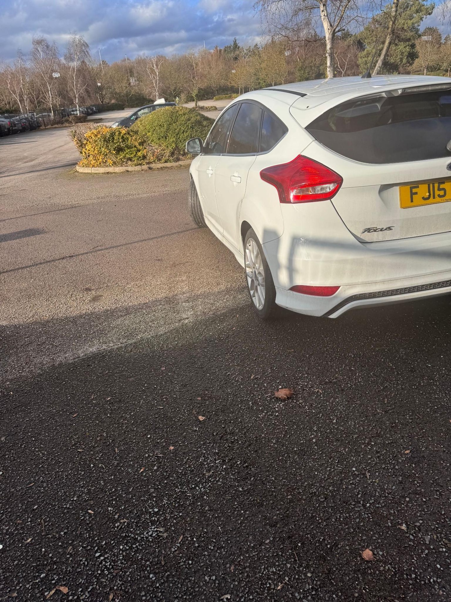 Used Ford Focus 2015 for sale - 77262645: Photo 6