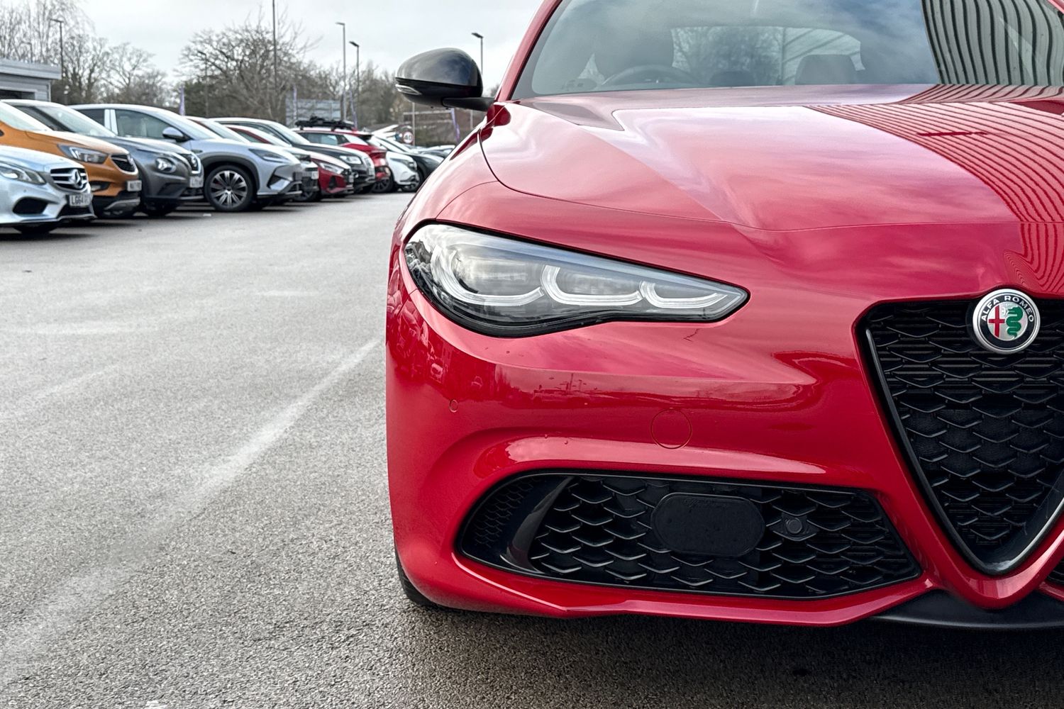 Used Alfa Romeo Giulia 2023 for sale - 77394138: Photo 28